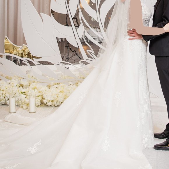 Wedding Dress - Picture 6 of 10